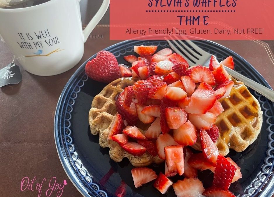 Sylvia’s Waffles! Egg/Dairy/Gluten/Nut Free – Yummy E!